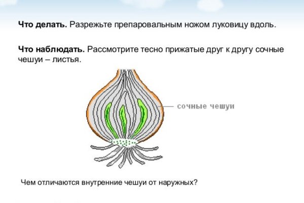 Ссылка на сайт кракен в тор браузере