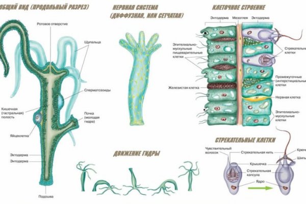 Kraken istand onion ссылка