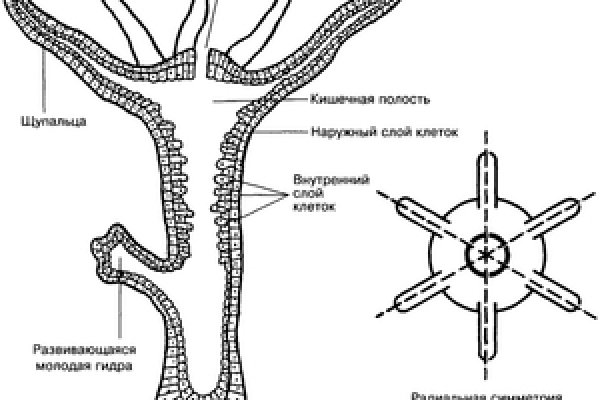 Кракен аккаунт не найден